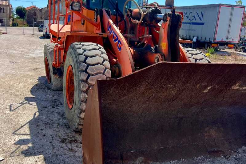 OmecoHub - Immagine FIAT HITACHI W170